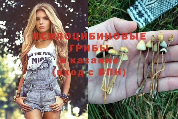 кокс Алзамай